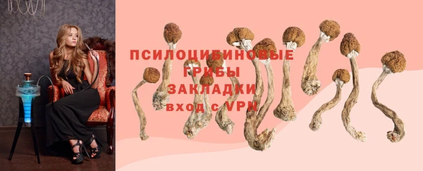 героин Арсеньев